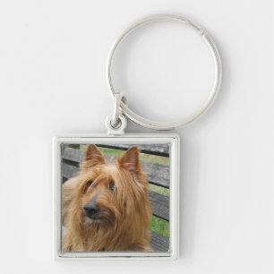 australian terrier op bank.png sleutelhanger