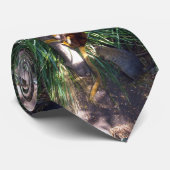 Australian Tree Kangaroo, Cravate (Roulé)