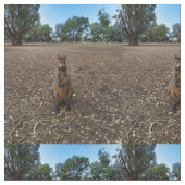 Australian Wallaby Holding A Stick Stof (Close Up)