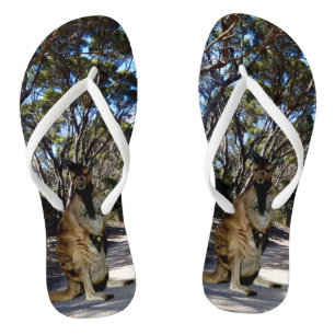 Australian Wallaby On Road, Teenslippers