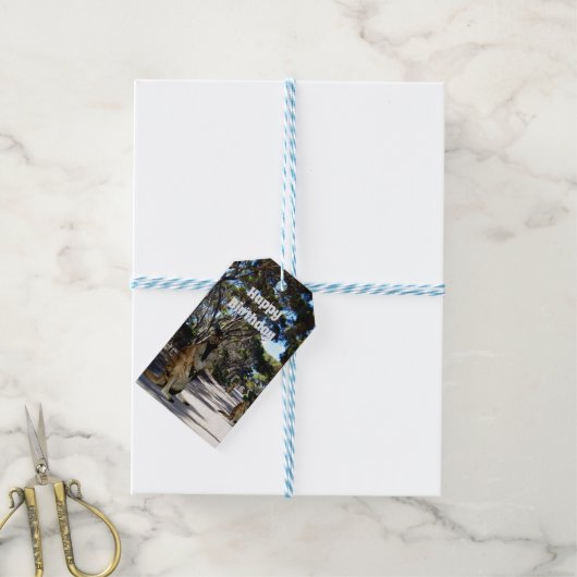 Australian Wallaby Road, étiquettes cadeaux (With Twine)