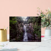 Australian WaterFall (Mariage)