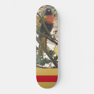 Australian Wattle Rainbow Lorikeet Cockato Bird Skateboard