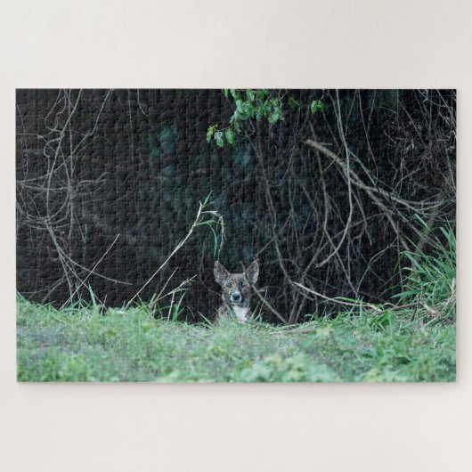 Australian Wildlife Dingo Puppy  Legpuzzel (Horizontaal)