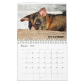 AUSTRALIAN WILDLIFE KALENDER (Feb 2026)