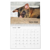 AUSTRALIAN WILDLIFE KALENDER (Jan 2027)