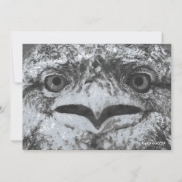 Australian Wildlife, Nature's Curmudgeon, Animal Kaart