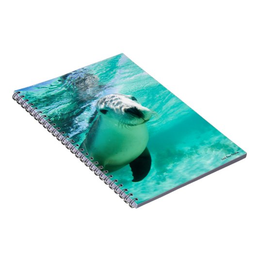 Australian Zee Lion Notitieboek (Rechterzijde)