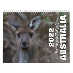 Australië 2025 Wildlife Animal Photo Kalender