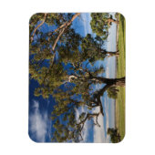 Australië, Barossa Valley, Mount Pleasant Magneet (Verticaal)