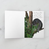 Australie Beckons - Carte d'anniversaire Kangaroo (Intérieur)