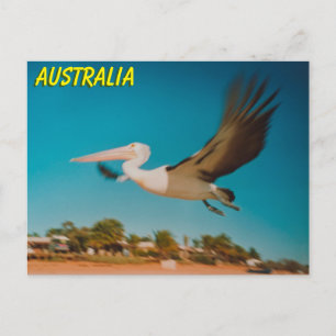 Australië Briefkaart