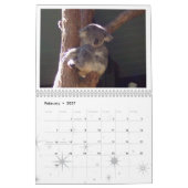 Australie - Calendrier 2020 (Feb 2027)