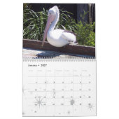Australie - Calendrier 2020 (Jan 2027)