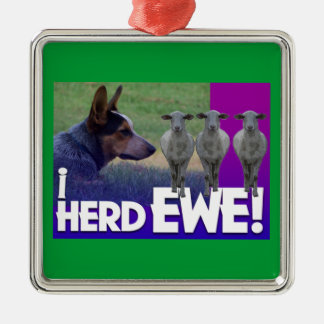 AUSTRALIË CATTLE DOG ORNAMENT I HERD EWE