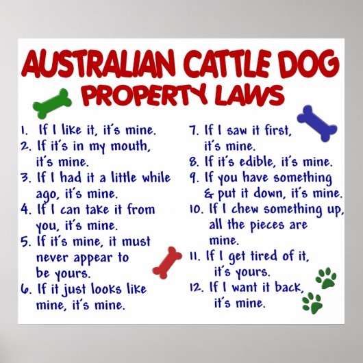 AUSTRALIË CATTLE DOG PL2 POSTER (Voorkant)