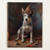 Australie Citrouilles de bétail Halloween effroi (Devant)