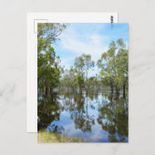 Australië De rivier Murray, Briefkaart (Voorkant / Achterkant)