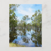 Australië De rivier Murray, Briefkaart (Voorkant)