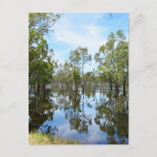 Australië De rivier Murray, Briefkaart (Voorkant)