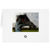 Australie Emu Gros plan, Carte Anniversaire (Dos Horizontal)