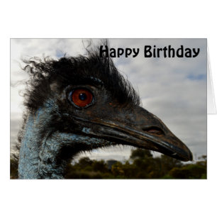 Australie Emu Gros plan, Carte Anniversaire