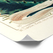 Australie, Grande Barrière de corail affiche de l' (Coin)