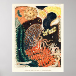 Australië, Great Barrier Reef  art poster