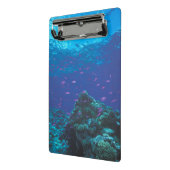 Australië, Great Barrier Reef. Paars Mini Klembord (Angled2)