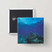 Australië, Great Barrier Reef. Paars Vierkante Button 5,1 Cm (Voorkant /achterkant)