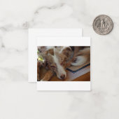 australië herder rode merle slaapt notitiekaartje (Voorkant / Achterkant in situ)