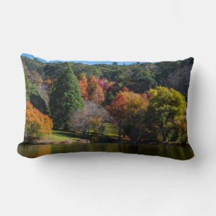 Australië herfst kleurrijke bomen kussen