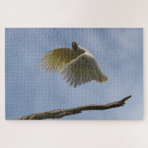 Australië Kaketoe Vliegende Papegaaivogel, 1014 st Legpuzzel