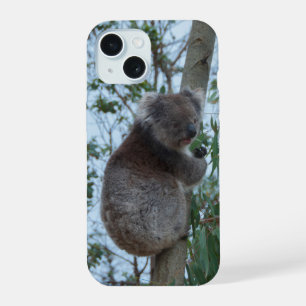 Australie Kangaroo Island Koala dans un arbre