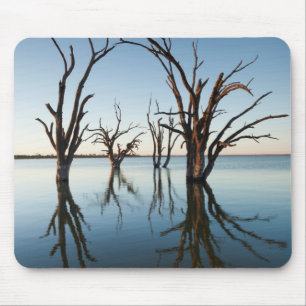 Australië, Murray River Valley, Barmera, meer Muismat