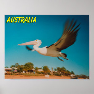 Australië Poster