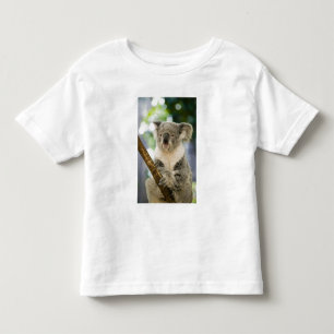 Australië, Queensland, Brisbane, Fig Tree Kinder Shirts