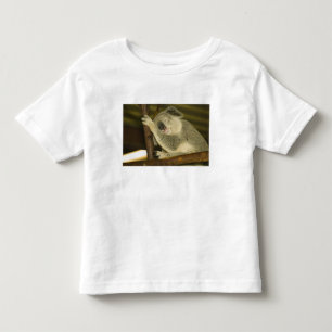 Australië, Queensland, Brisbane. Vijgenboom Kinder Shirts
