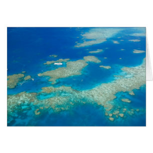 Australie, Queensland, côte nord, Cairns 3