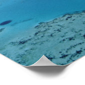 Australië, Queensland. Great Barrier Reef Poster (Hoek)