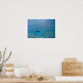 Australië, Queensland. Great Barrier Reef Poster (Keuken)