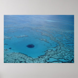 Australië, Queensland. Great Barrier Reef Poster