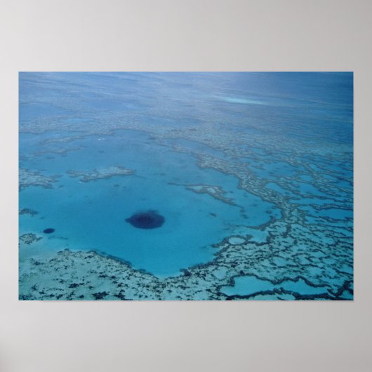 Australië, Queensland. Great Barrier Reef Poster (Voorkant)