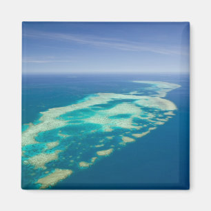 Australië, Queensland, Noordkust, Cairns 2 Magneet