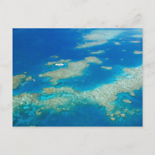 Australië, Queensland, Noordkust, Cairns 3 Briefkaart