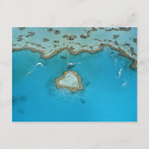 Australië, Queensland, The Whitsunday Islands, Briefkaart