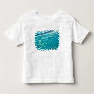 Australië, Queensland, Whitsunday Coast, Great 4 Kinder Shirts