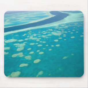 Australië, Queensland, Whitsunday Coast, Groot 4 Muismat
