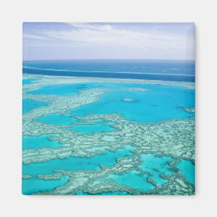 Australië, Queensland, Whitsunday-kust, Groot 3 Magneet