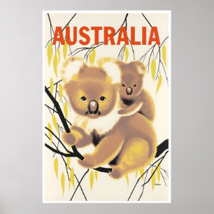 Australië Reisposter Australische Kunst Koala Bere Poster